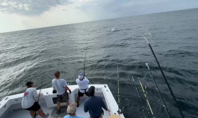 Destin Report Video 0