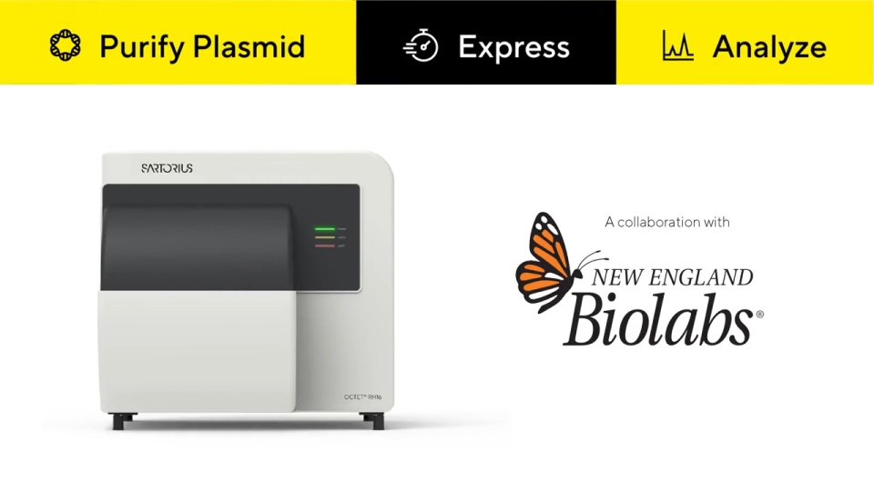 Go from DNA to Kinetics in a Single Day - Homepage Web Banner