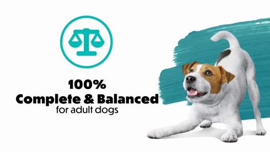 Purina Beneful IncrediBites with Farm-Raised Beef Small Breed Dry Dog Food
