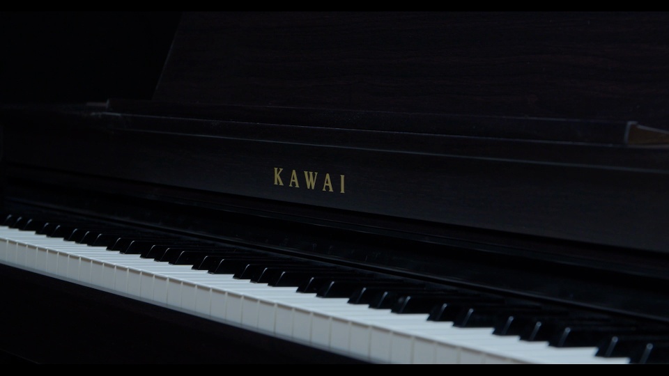  Kawai Digital CN301