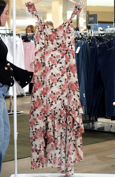 Petal & Pup Zanie Floral Chiffon Maxi Dress | Nordstrom