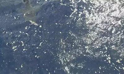 Le Morne Report Video 0