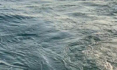 Erie Report Video 1
