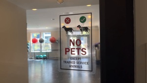 Service Animal Signs