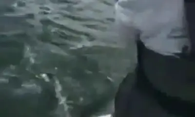 Lacey Township Report Video 0