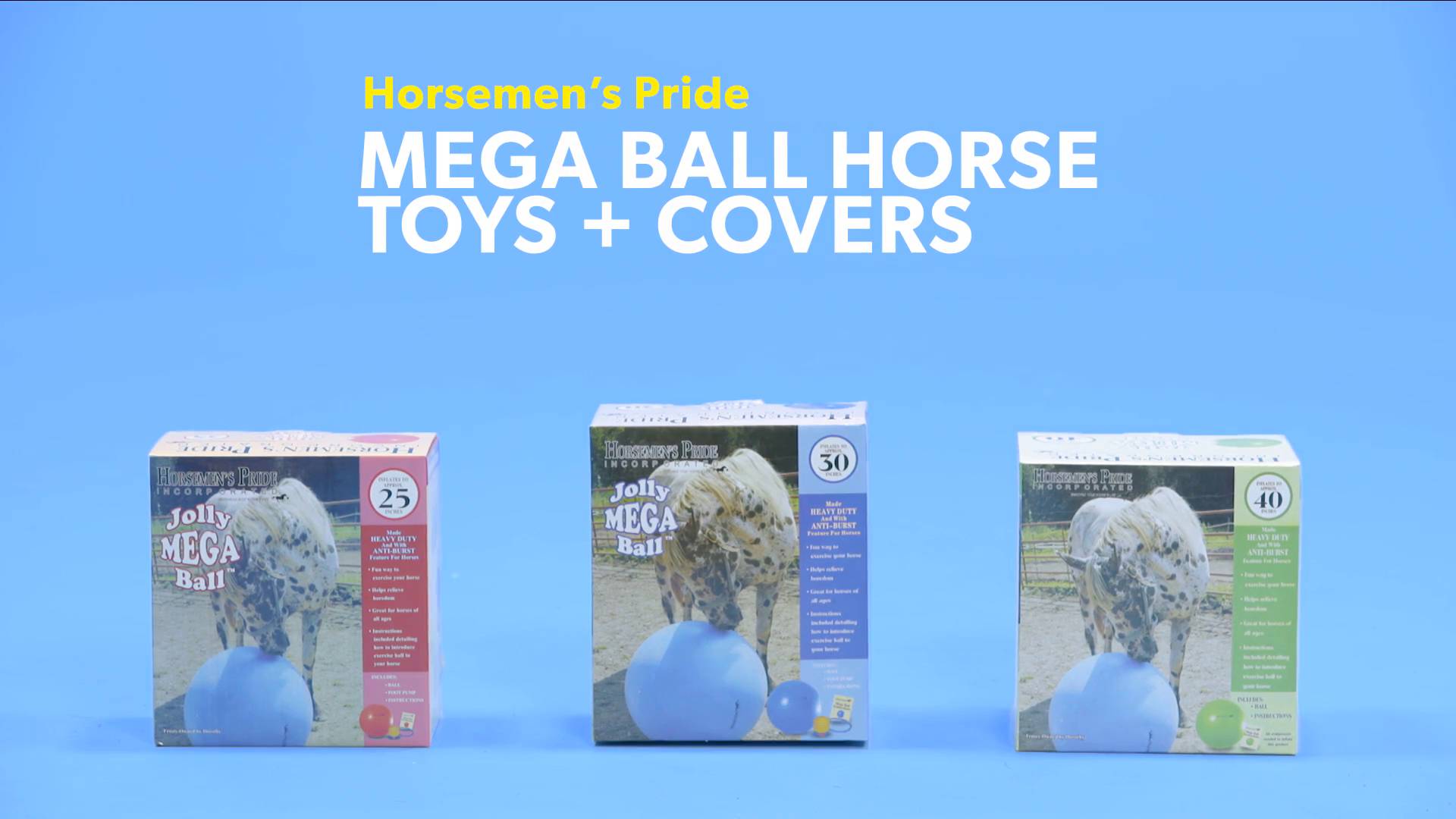 Horsemens Pride Mega Ball Horse and Dog Toy 