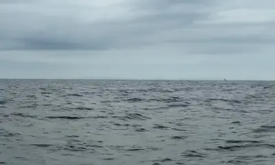 Herradura Report Video 1