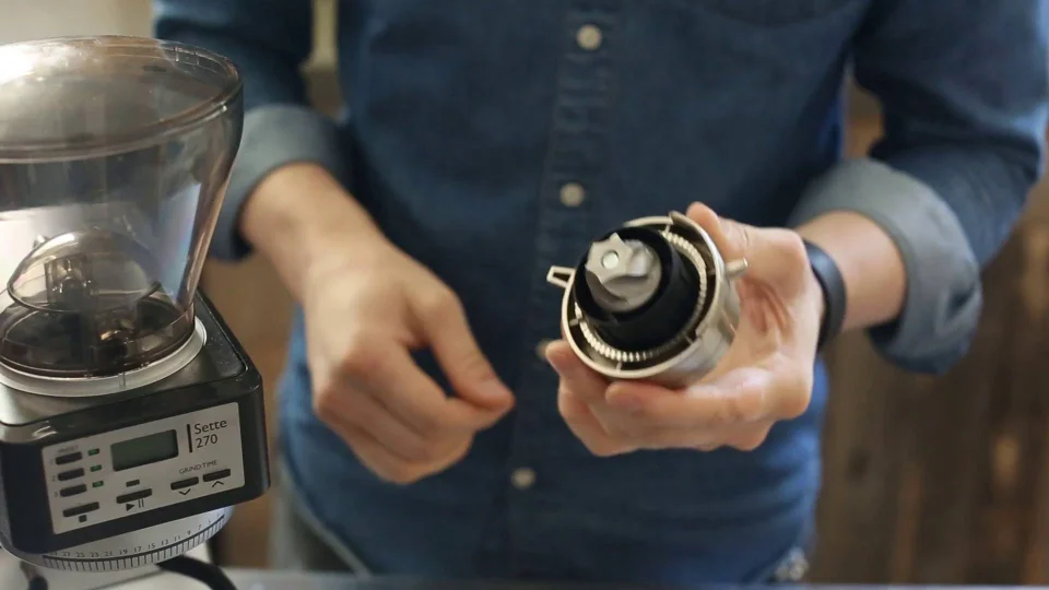 Baratza Sette Brew Burr (BG) and Holder