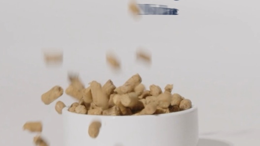 K9 Natural New Zealand Beef Feast Grain-Free Freeze-Dried Dog Food