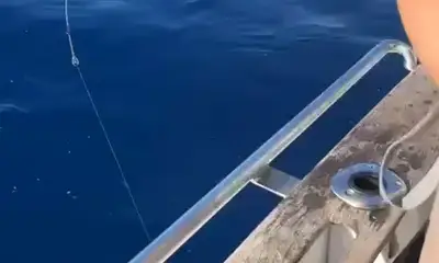 Funchal Report Video 0