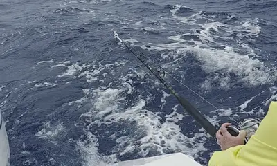 Looking forward to book again