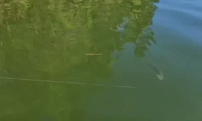 Atlanta Verslag Video 1