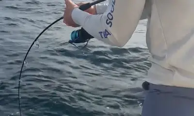 Fujairah Report Video 1