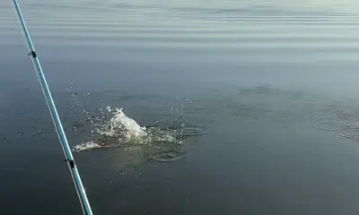 Halifax River Report Video 2