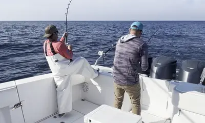 New Hanover County Report Video 3