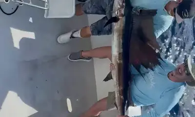 Key West Report Video 0