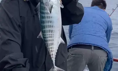 Wonderful Day! Great Crew!