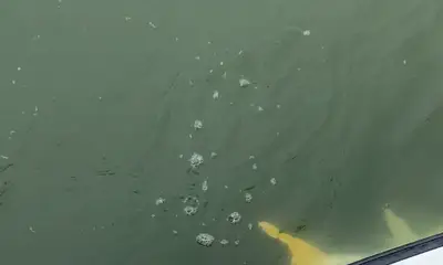 Port O'Connor Report Video 0