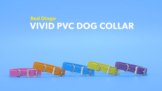 Play Video: Learn More About Red Dingo From Our Team of Experts