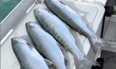 Grand Bend Report Video 2