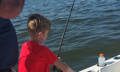 sharks and marshes!