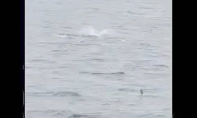 Norfolk Report Video 1