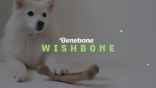 Benebone Bacon Flavor Wishbone Tough Dog Chew Toy