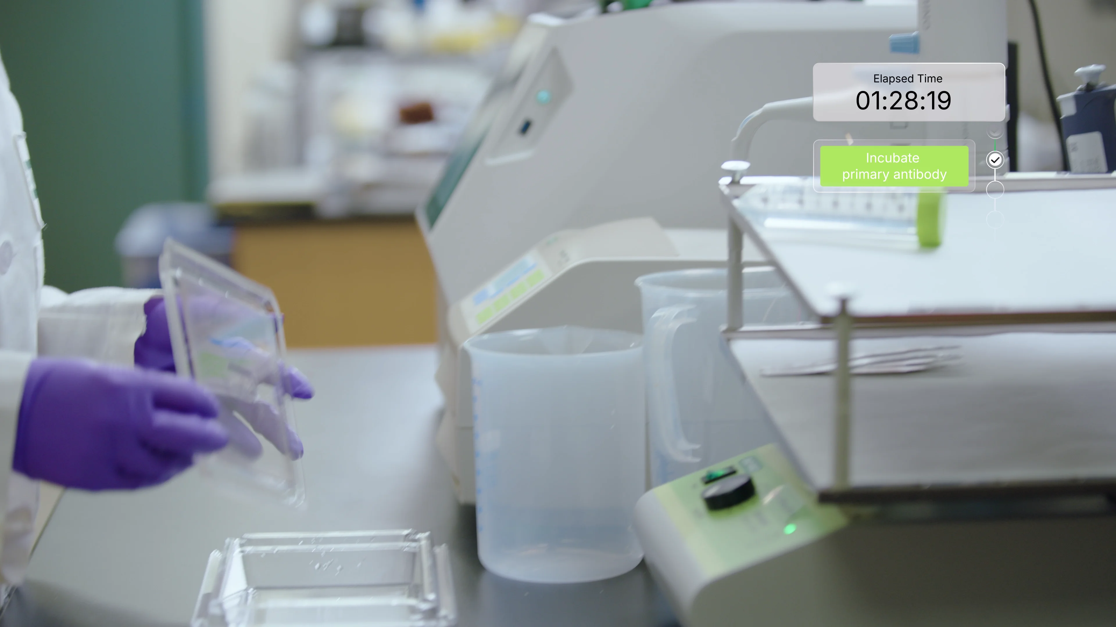 Space-Saving Western Blotting in Under 3 Hours