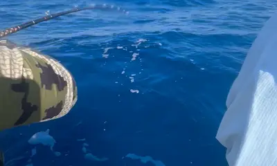 Port Canaveral Report Video 0