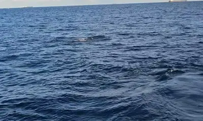 Fort Lauderdale Report Video 0