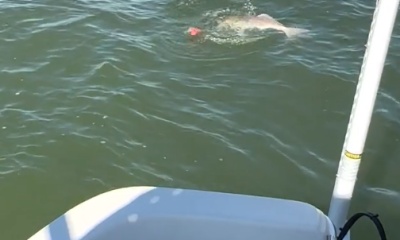 Port O'Connor Report Video 2