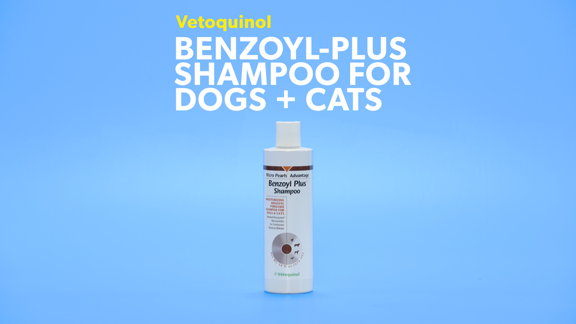 Benzoyl plus hotsell shampoo for dogs