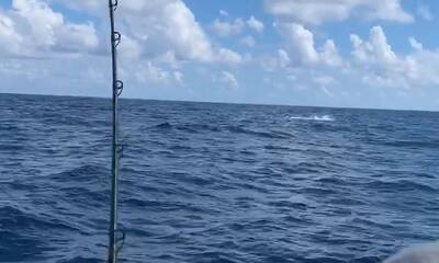 Fort Lauderdale Report Video 1