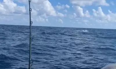 Fort Lauderdale Report Video 1