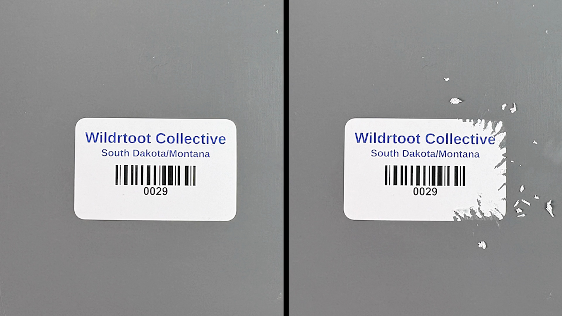 SecuriGuard - Destructible Asset Labels