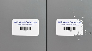 Consecutive Numbered on Roll Label