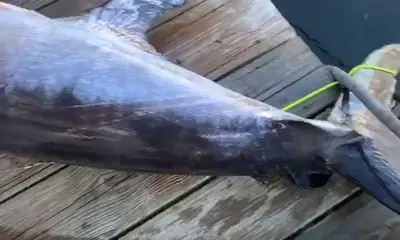 Jensen Beach Report Video 0