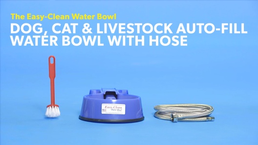 Play Video: Learn More About The Easy-Clean Water Bowl From Our Team of Experts