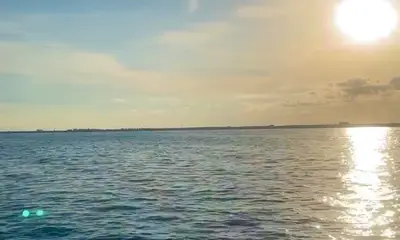 Cancún Report Video 1