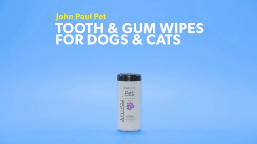 Play Video: Learn More About John Paul Pet From Our Team of Experts