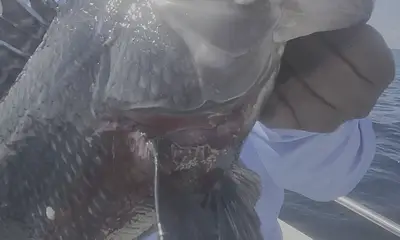 Virginia Beach Report Video 0