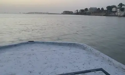 Margaritaville 