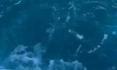 Carolina Beach Report Video 0