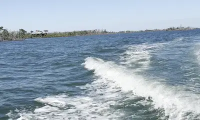 Dolphins and Island Hopping