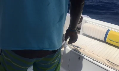 Bridgetown Report Video 1
