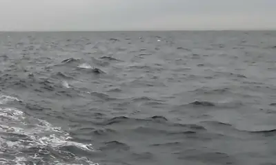 New South Wales Report Video 2