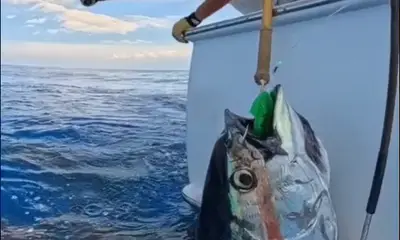 Kailua-Kona Verslag Video 0