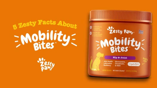 Zesty Paws Mobility Bites Duck Flavor Hip & Joint Support Soft Chews For  Dogs - Damariscotta, ME - Westbrook, ME - Brunswick, ME - The Animal House