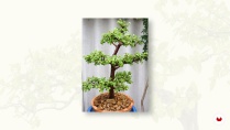Lesson image