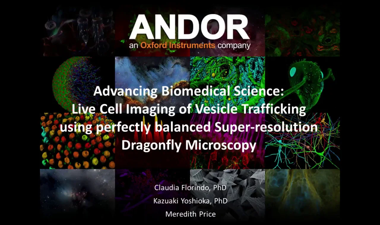 共焦点顕微鏡 Dragonfly: 100を超える科学論文で採用された革新の
